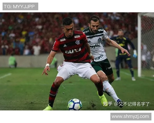 圣保罗与帕梅拉斯激战正酣直播盛况全程回顾与精彩瞬间解析